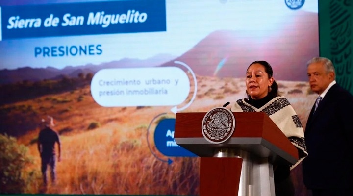 AMLO anuncia que Sembrando Vida llegará a SLP para reforestar Sierra de San Miguelito