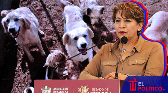 Delfina Gómez Centro Animal