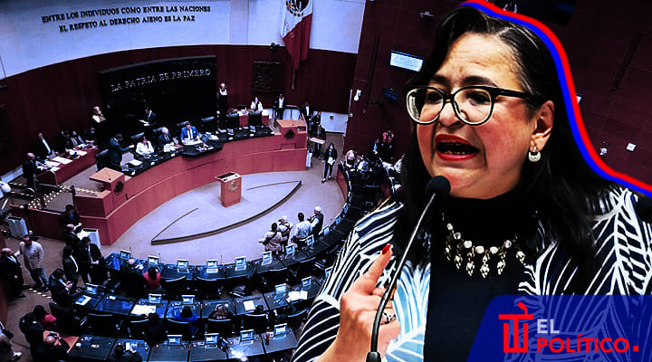 Norma Piña Senado