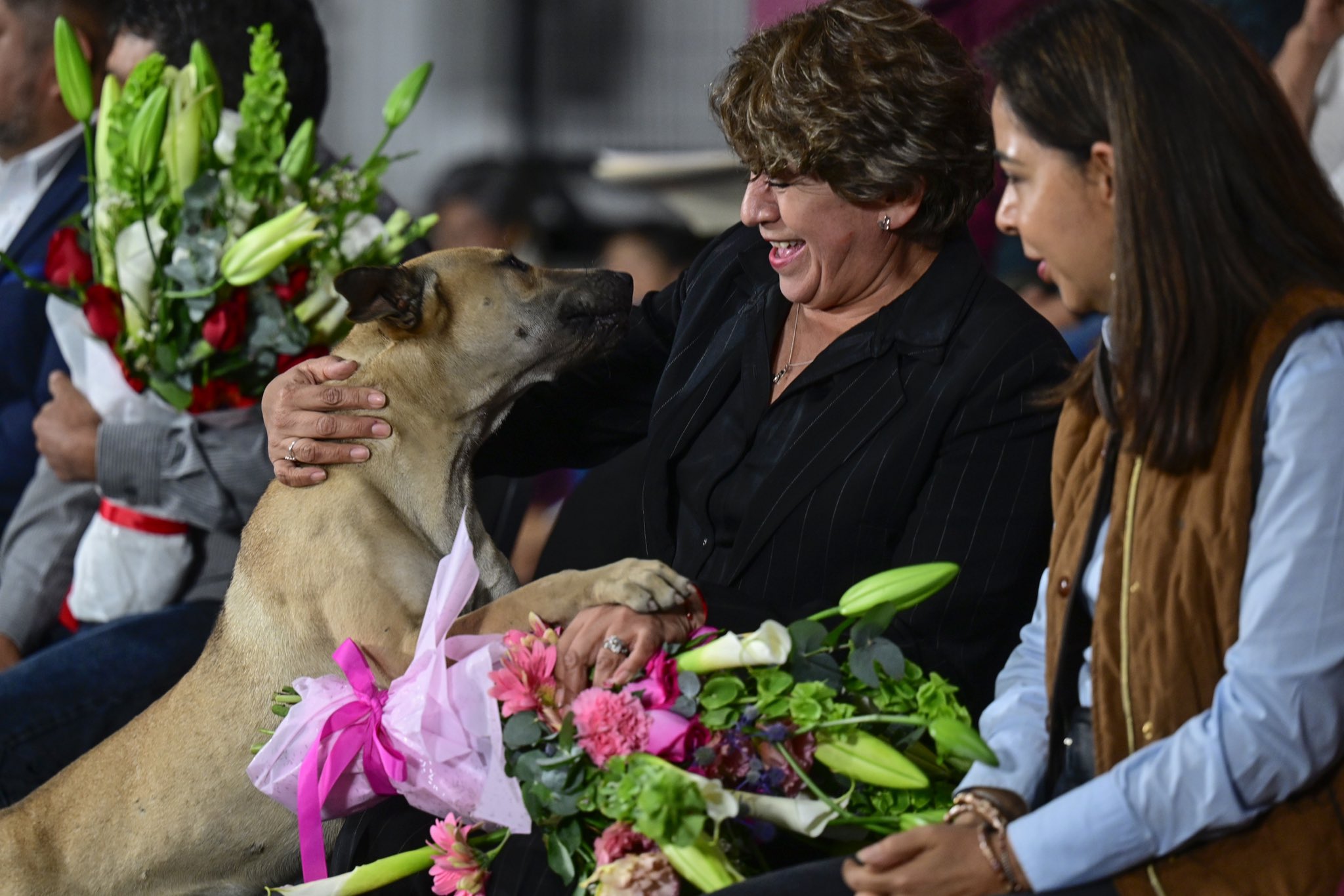 Delfina Gómez inaugura albergue de animales