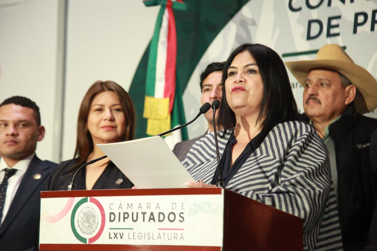 Guadalupe Chavira y diputados critican injerencia extranjera