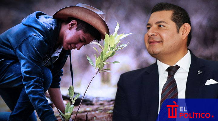 Alejandro Armenta busca revolución verde