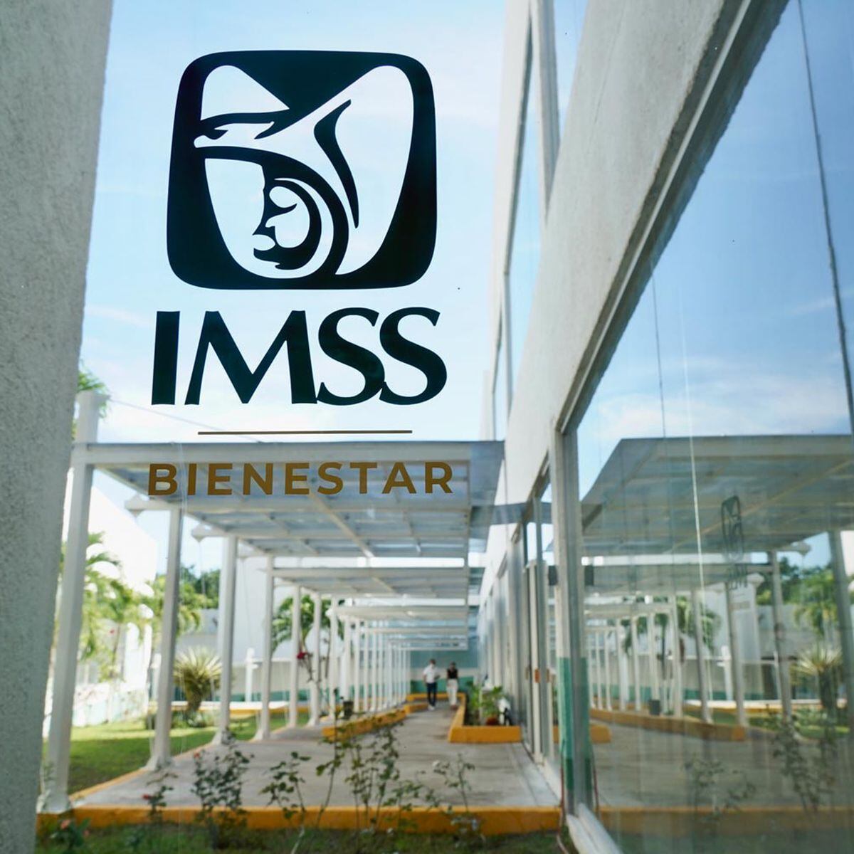 IMSS asegura que empleos han aumentado en Febrero