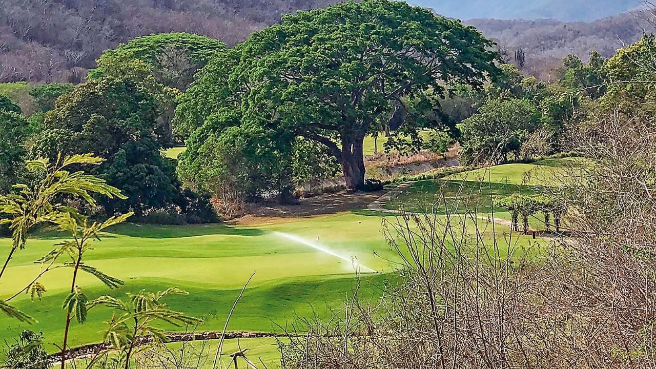 Salinas Pliego promete torneo de Golf