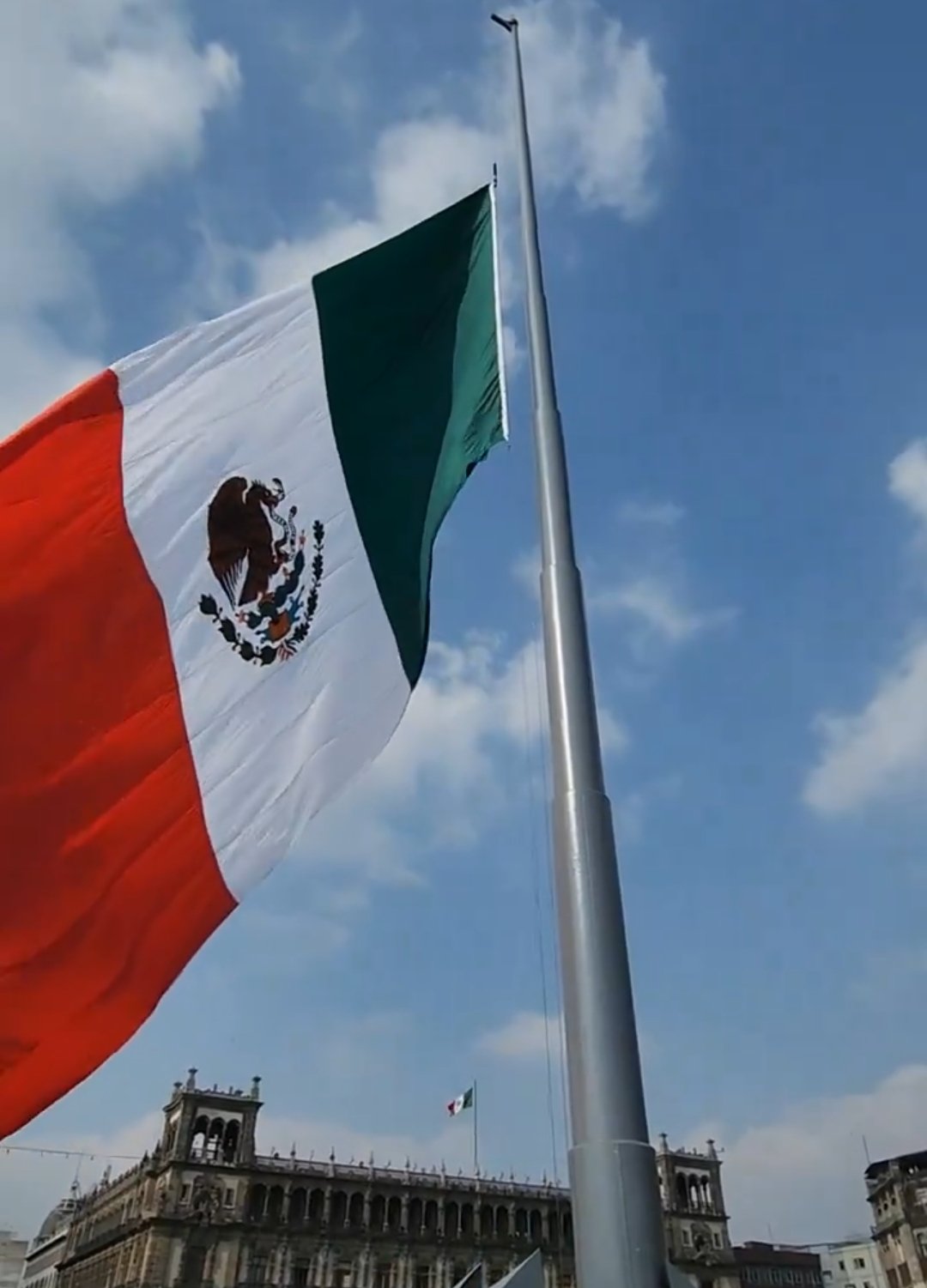 Bandera de México en Marea rosa