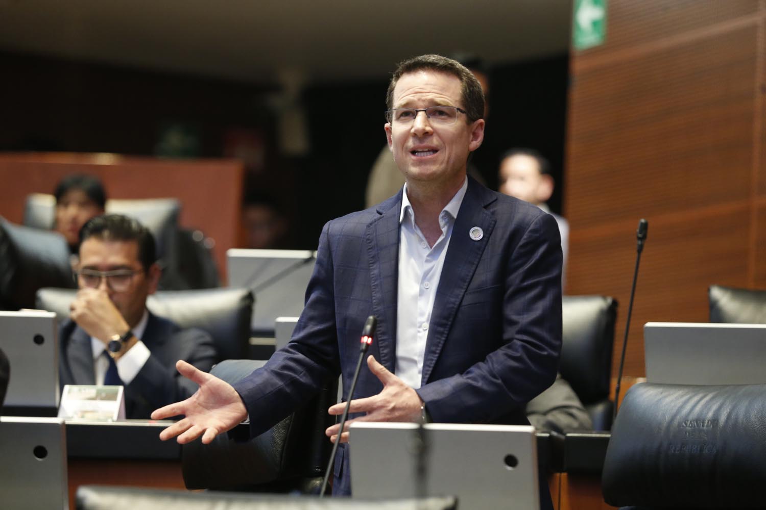 Anaya, intervención en el Senado