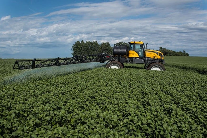 Actividades agropecuarias economía mexicana