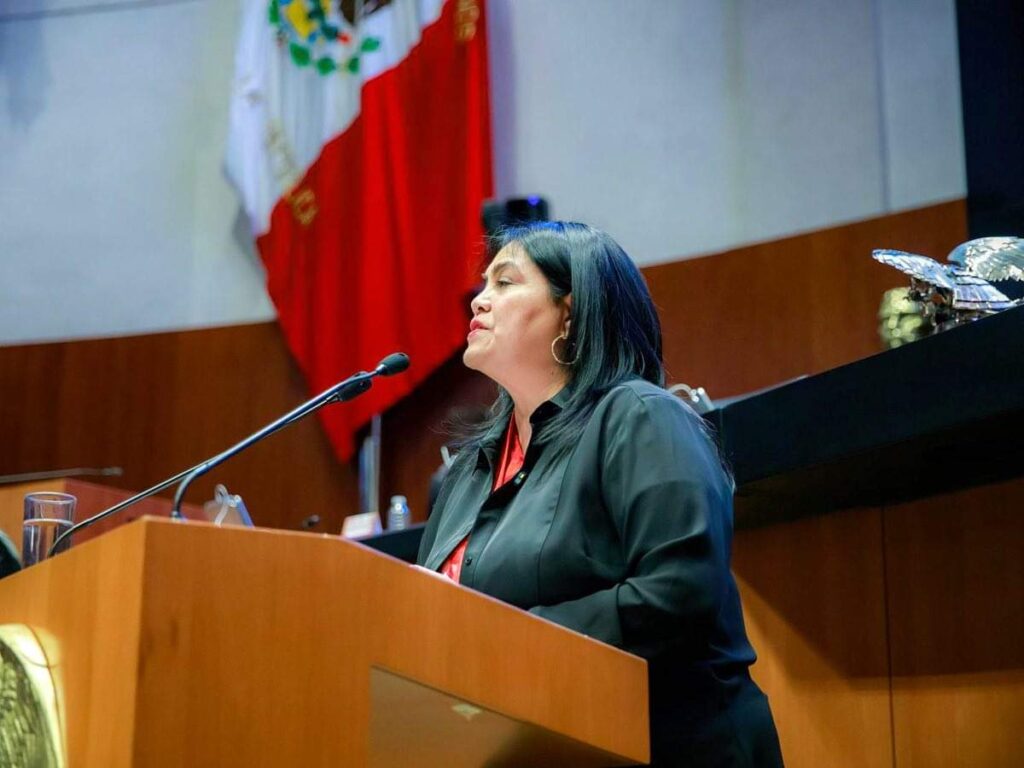 Guadalupe Chavira, Senado de la República