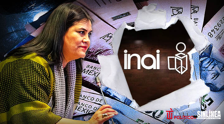 INAI, exponente de corrupción institucional: Guadalupe Chavira