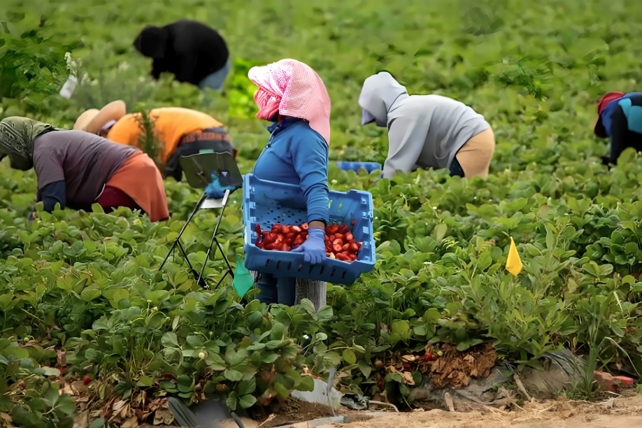 Mario Di Costanzo revela que los migrantes será los más afectados