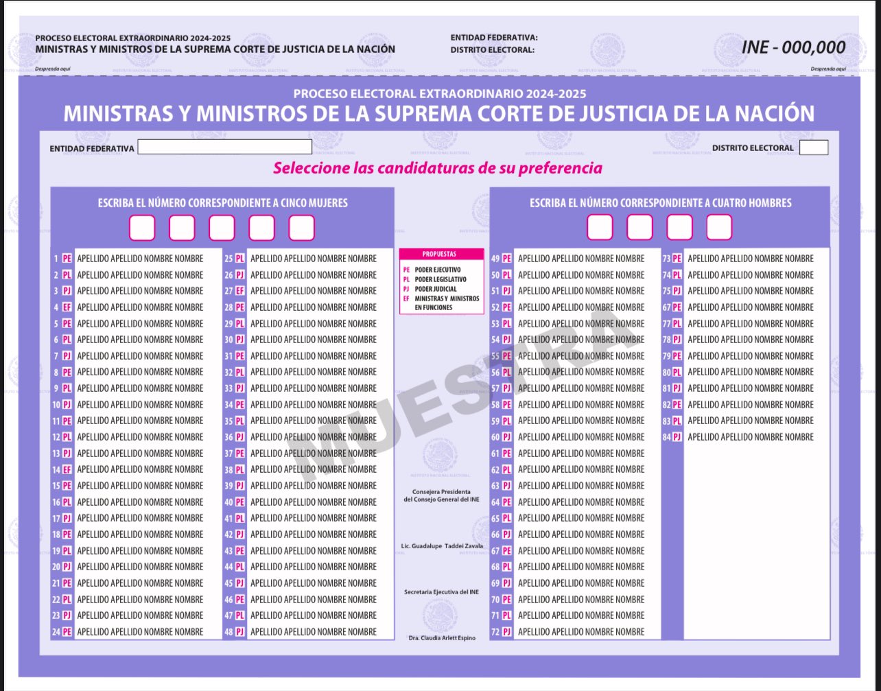 Boletas del INE tipo 1