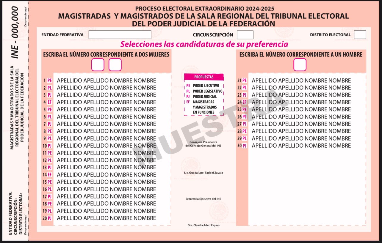 Boletas del INE tipo 4