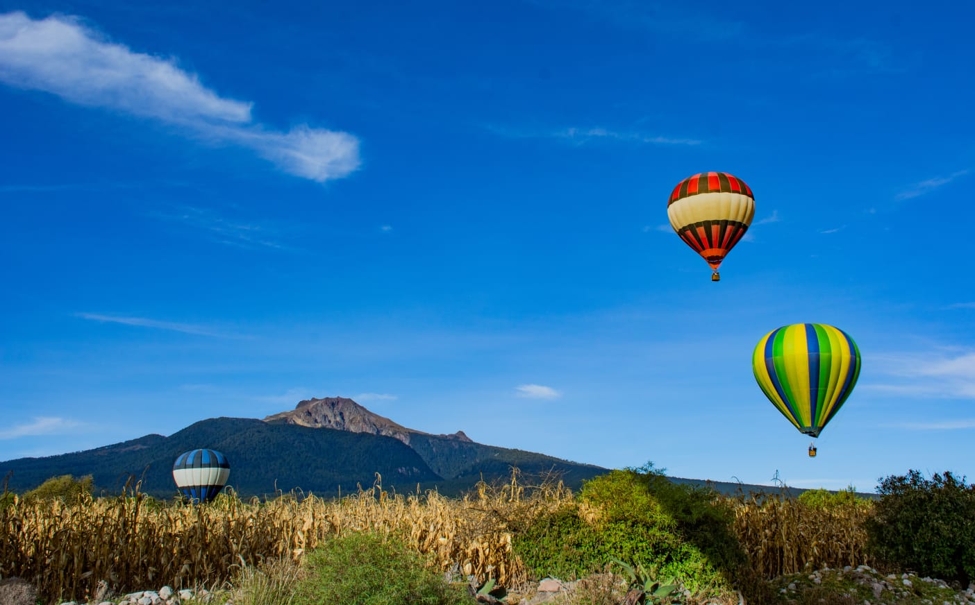 Generación de empleos derivado del turismo en México