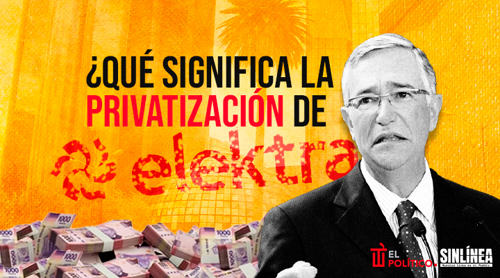 Elektra: razones de su privatización