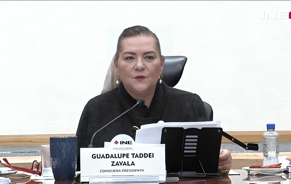 Guadalupe Taddei, INE