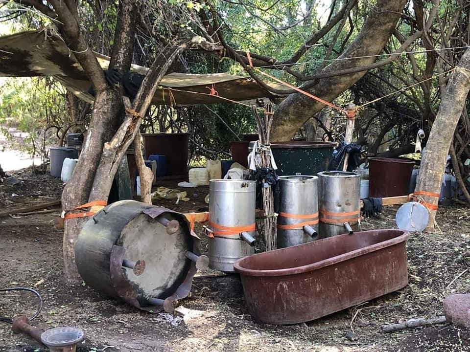 Aseguran 20 laboratorios clandestinos de droga en Sinaloa