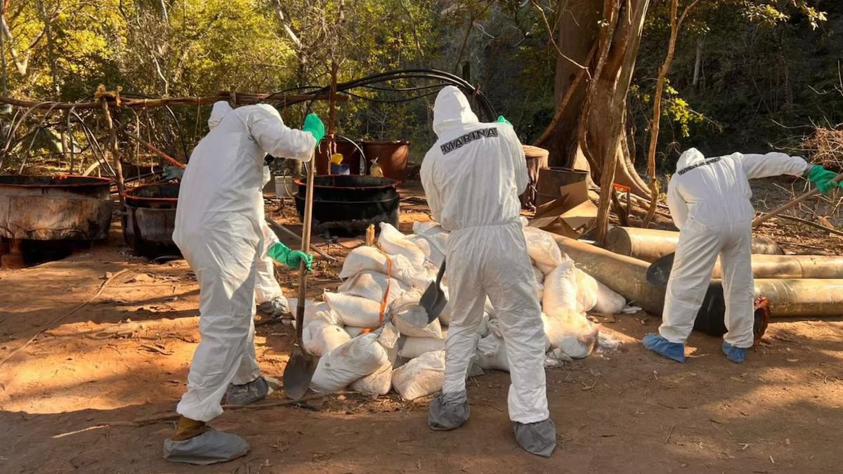 Aseguran 20 laboratorios clandestinos de droga en Sinaloa