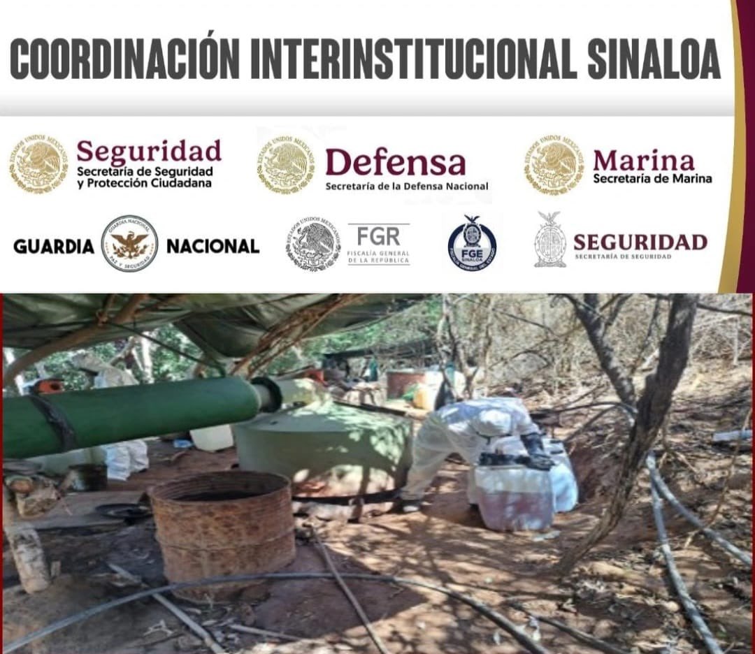 Aseguran 20 laboratorios clandestinos de droga en Sinaloa