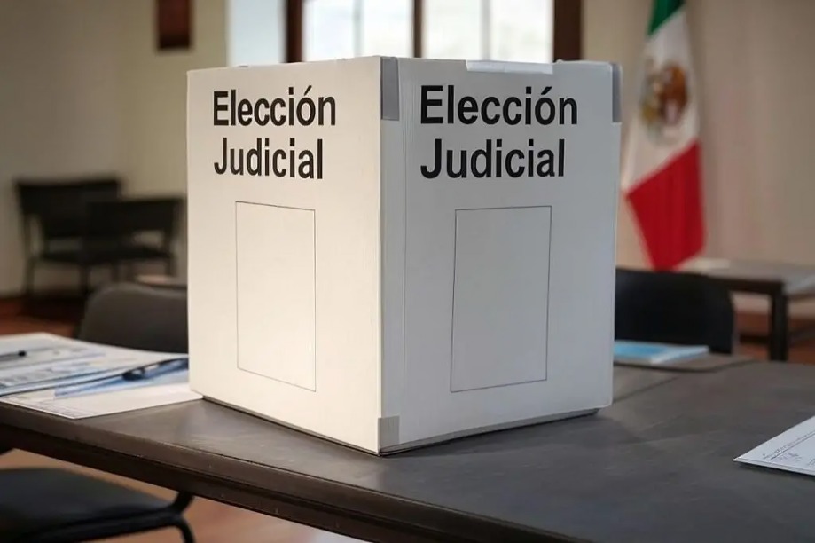 INe aprueba por unanimidad a candidatos a elección judicial