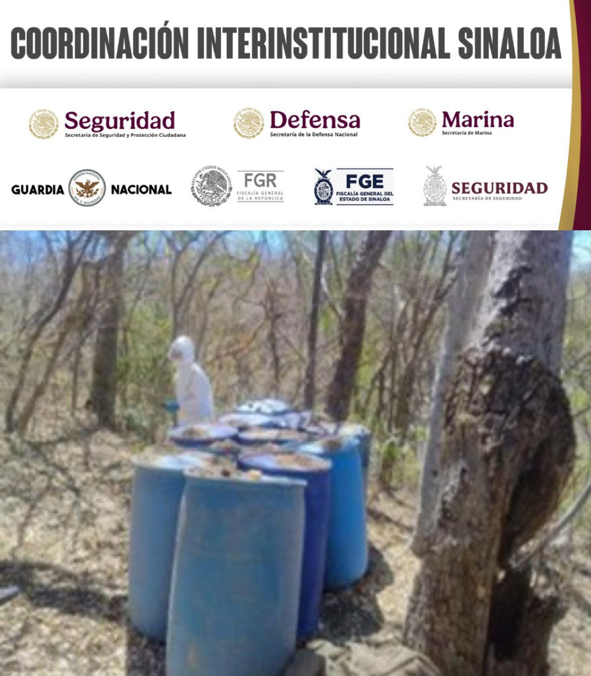 Aseguran once laboratorios clandestinos de droga en Sinaloa