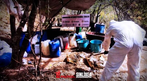 Aseguran once laboratorios clandestinos de droga en Sinaloa