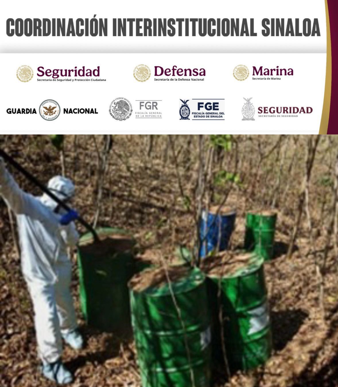 Aseguran once laboratorios clandestinos de droga en Sinaloa