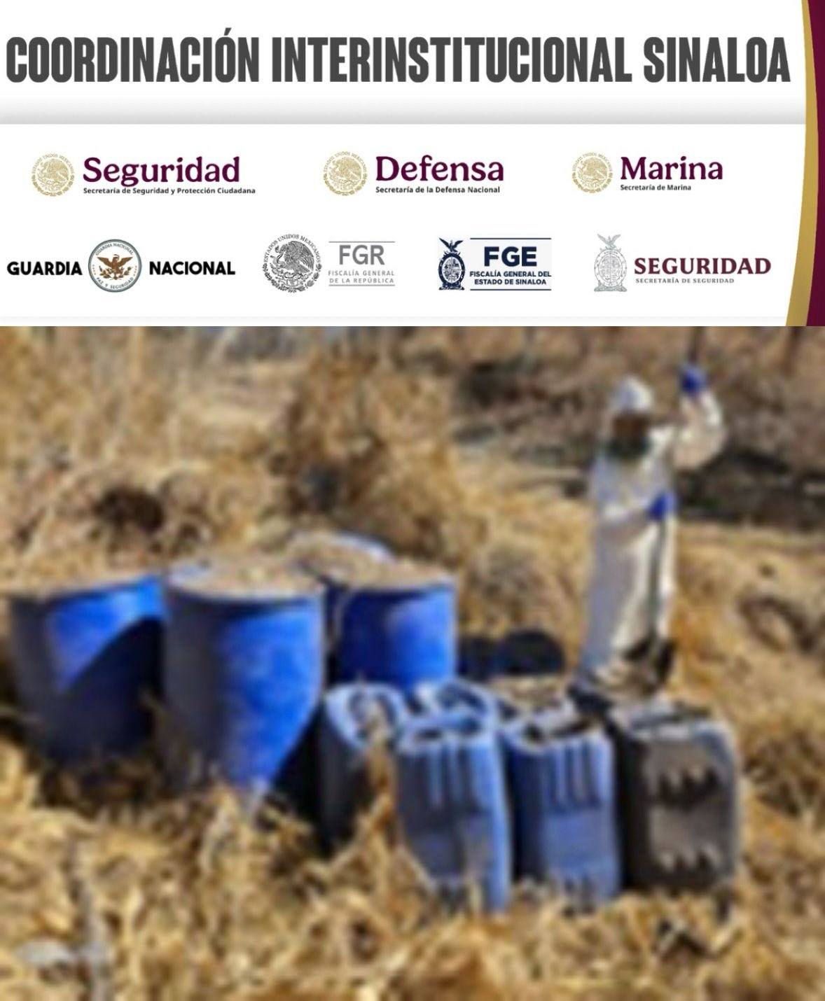 Aseguran once laboratorios clandestinos de droga en Sinaloa