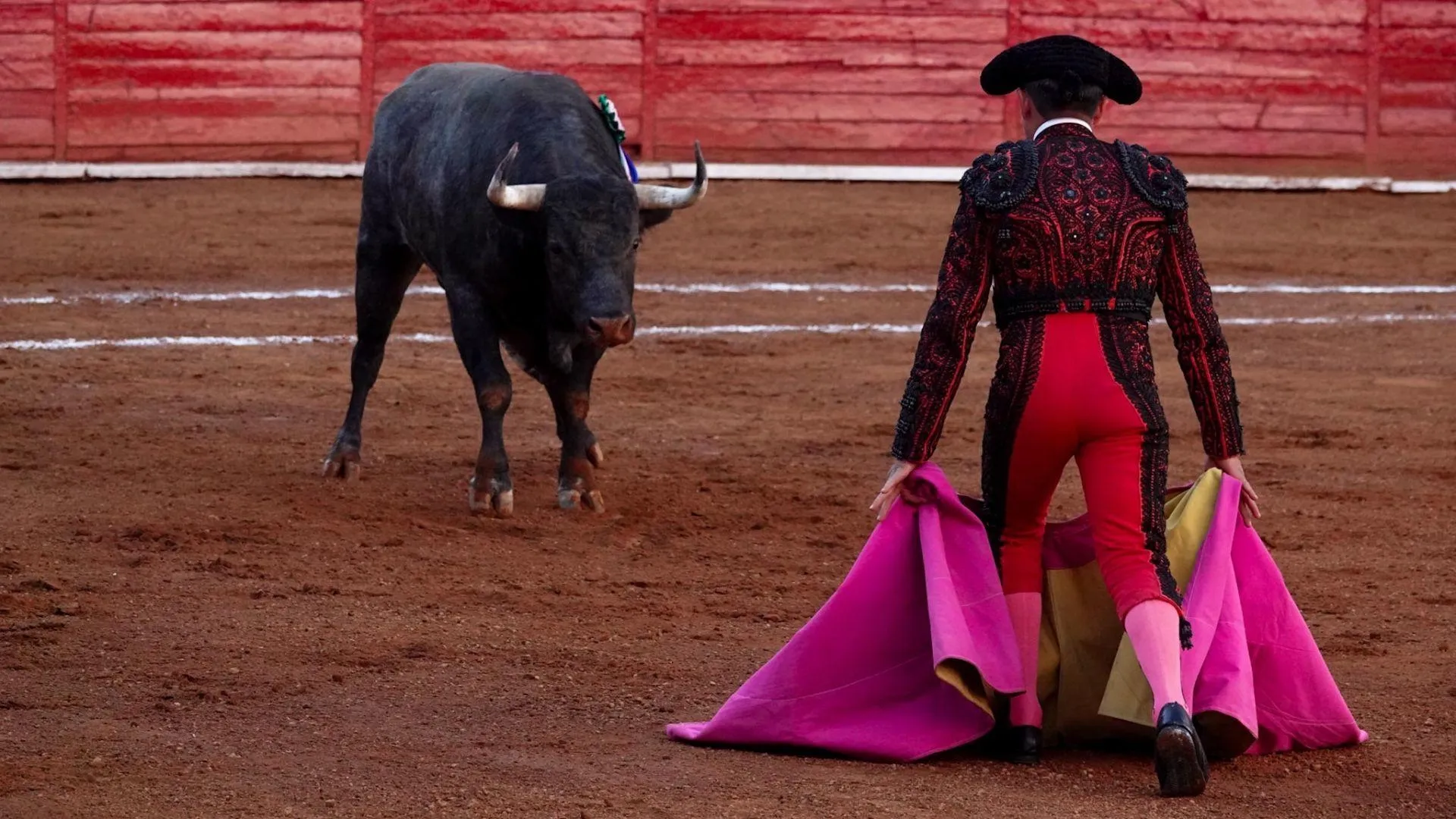 Corridas de toros