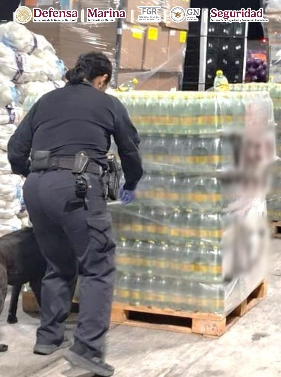 Gobierno asegura tonelada de metanfetamina en agua mineral