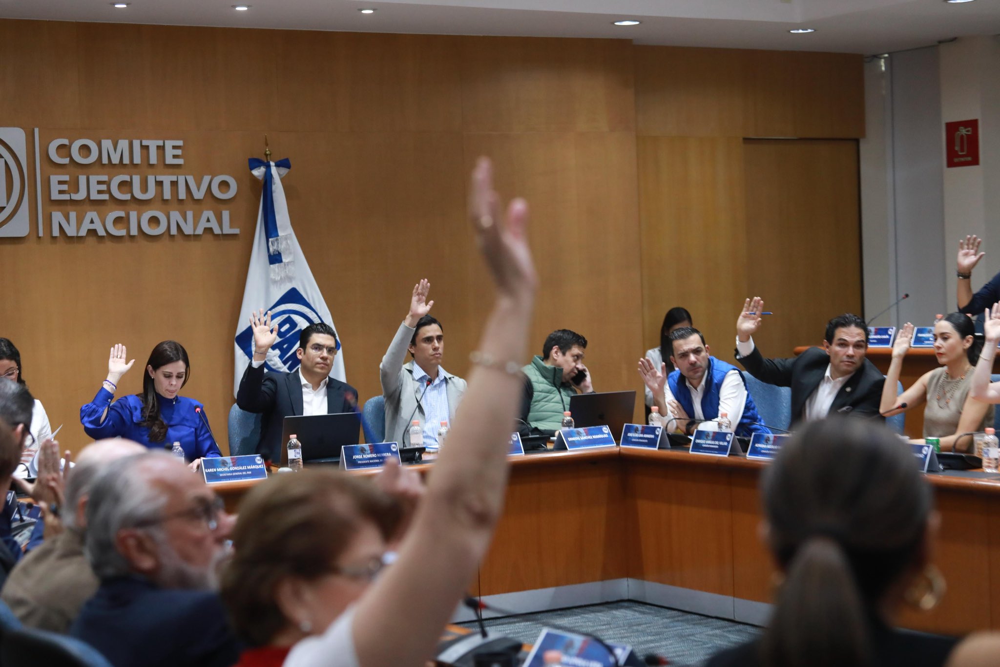 PAN buscará ayuda internacional