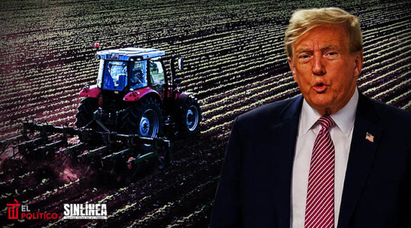 Trump anuncia aranceles a productos agrícolas en abril