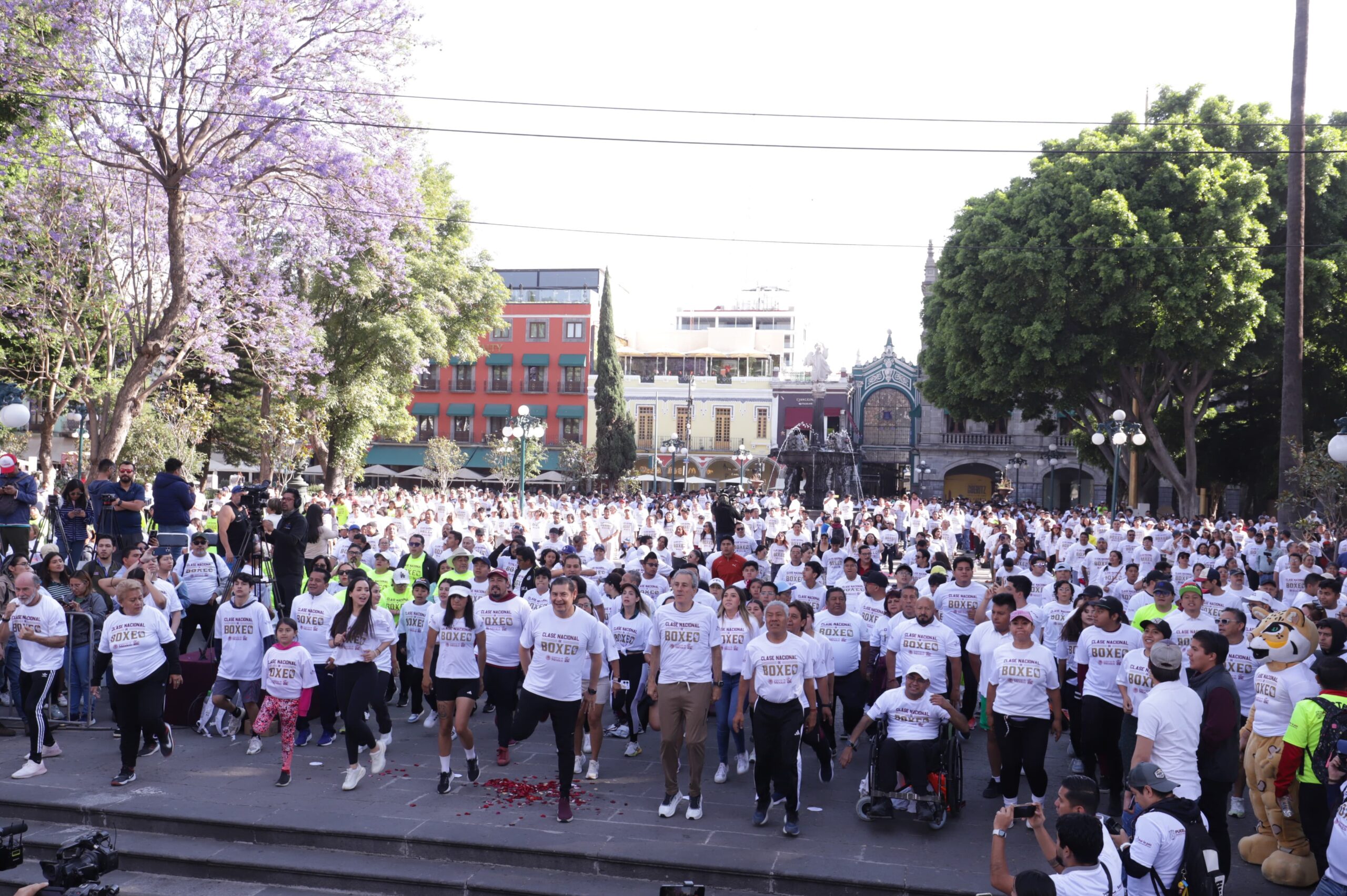 Clase de Boxeo Armenta