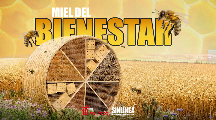 Miel del Bienestar: datos importantes