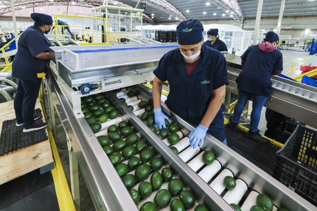 Empleos en México, Inegi