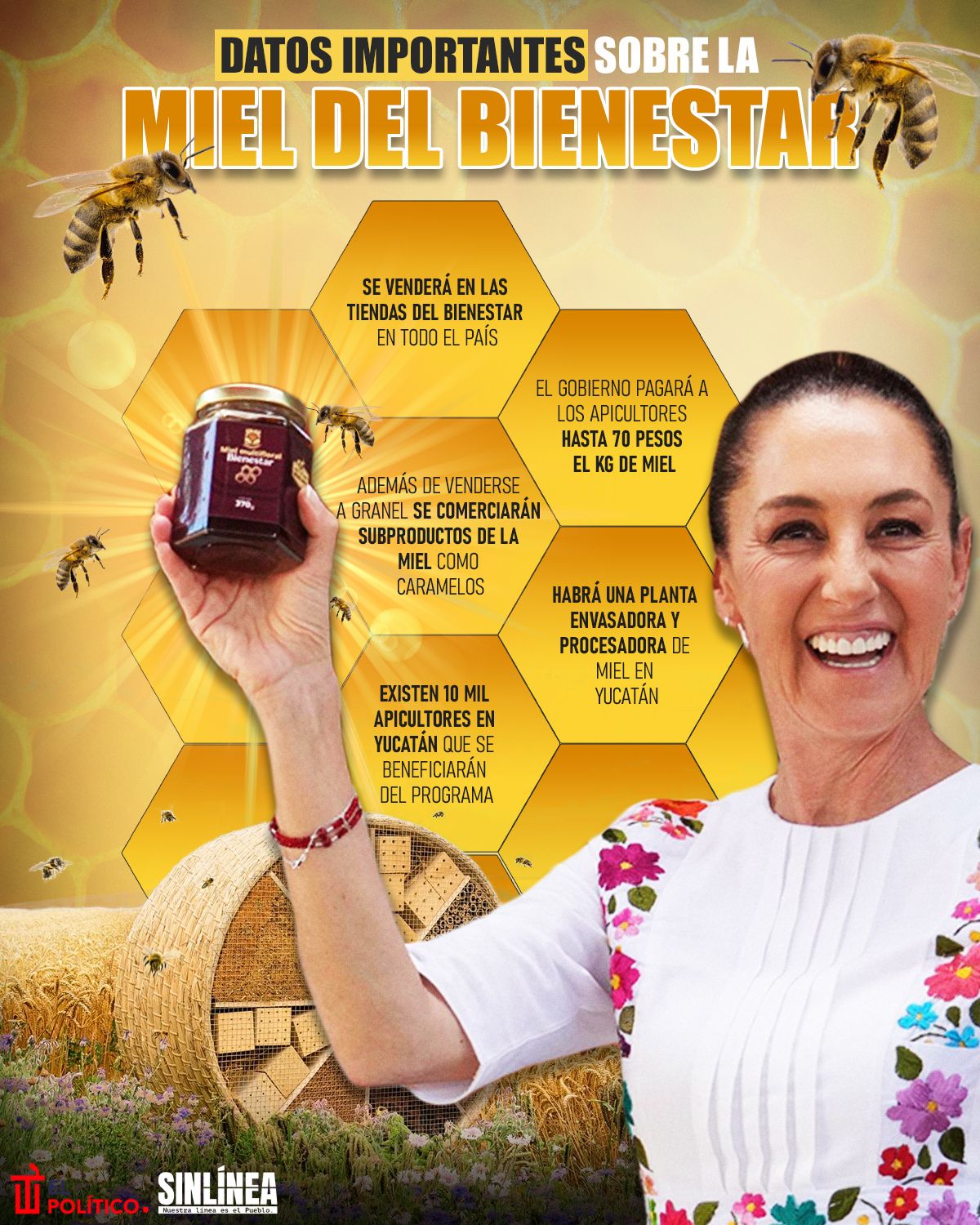 Infografía Miel del Bienestar: datos importantes
