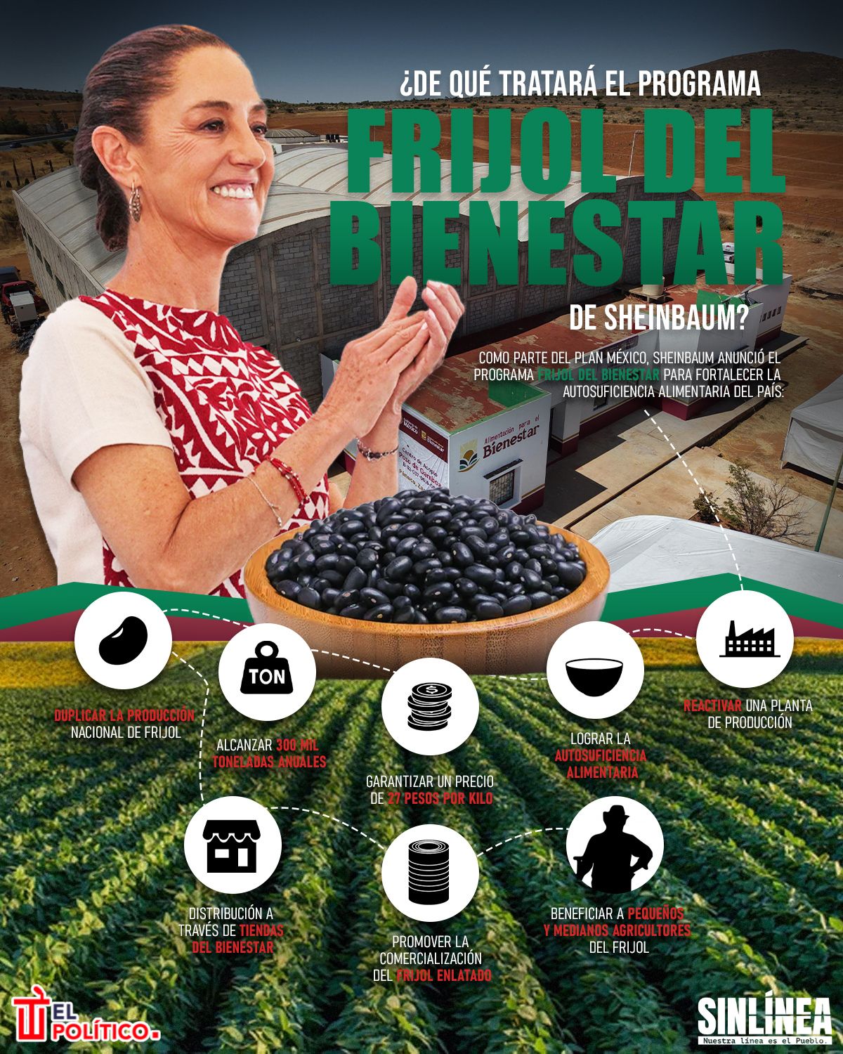 Infografía Frijol del Bienestar: de esto tratará el programa de Sheinbaum 