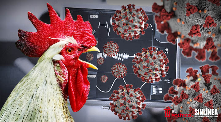 Muere niña que dio positivo a gripe aviar H5N1 en Coahuila