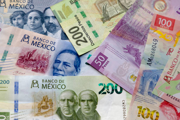 Procesan a exfuncionarios del gobierno de Graco Ramírez