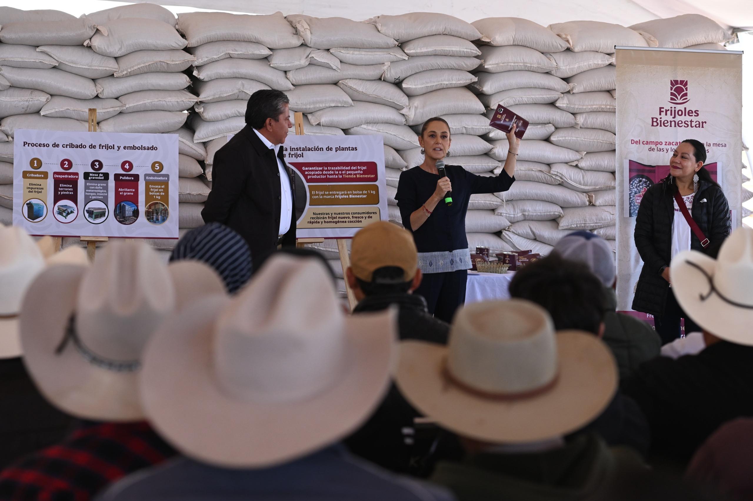 Sheinbaum detalla Frijol del Bienestar