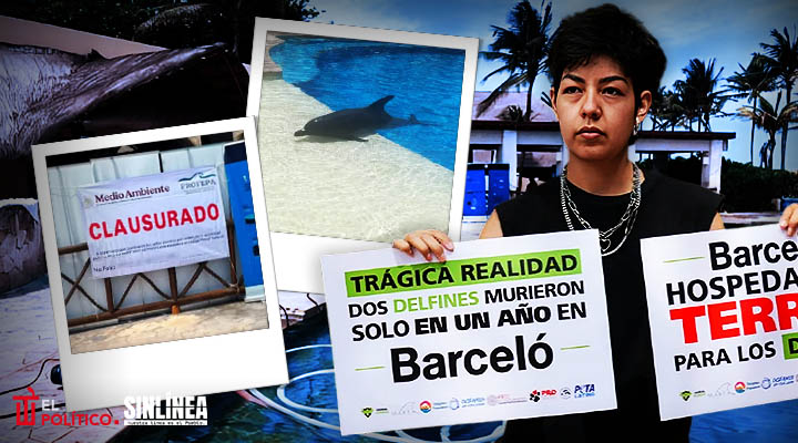 Clausuran delfinario del hotel Barceló por caso Mincho