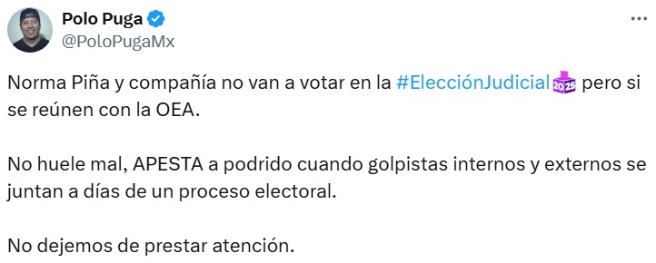 Críticas contra Norma Piña