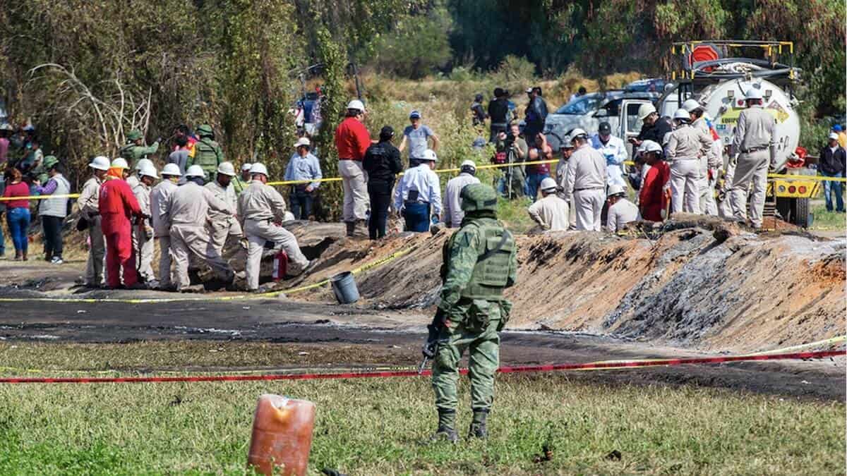EU asegura que Los Jensen tienen vínculos con el CJNG
