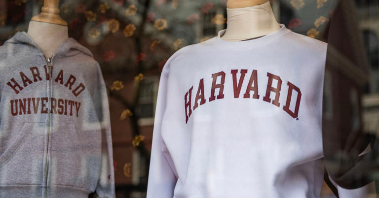 Harvard Trump