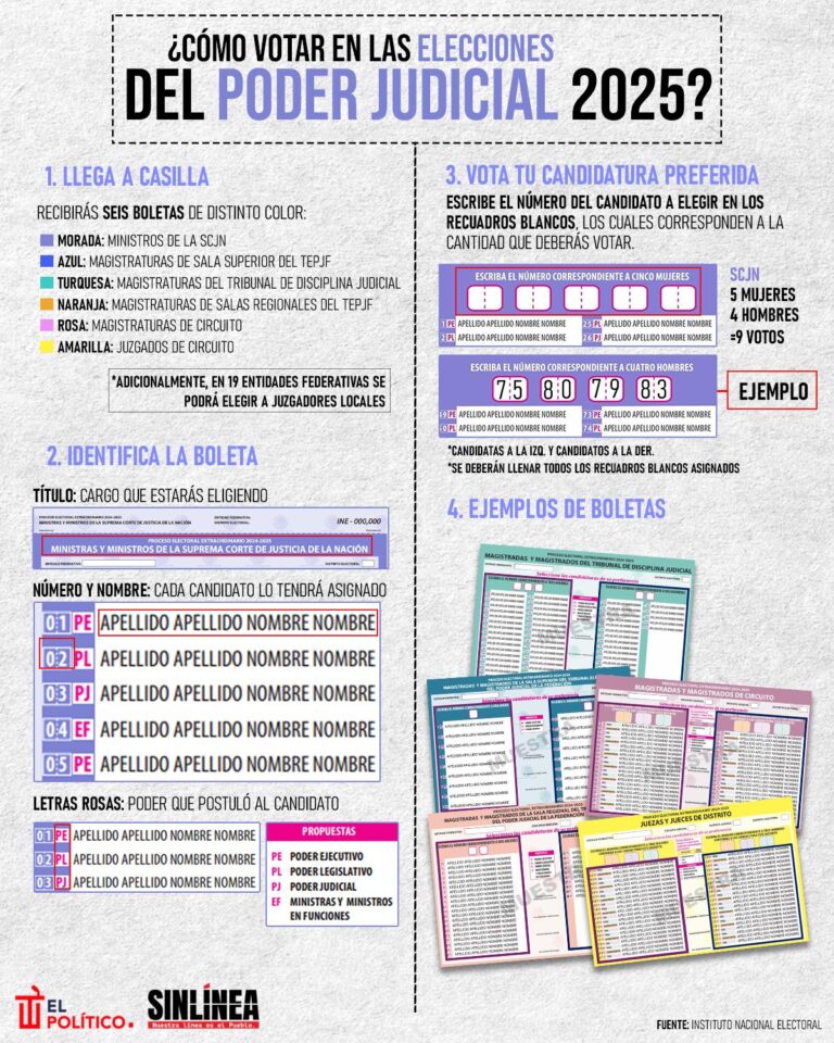 ¿Cómo votar en la elección judicial?