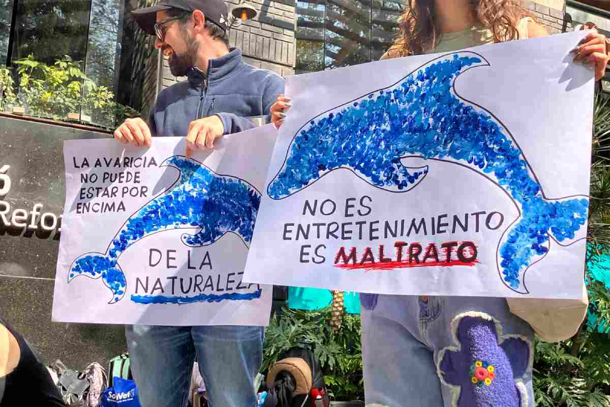 Protestas delfinario Barceló