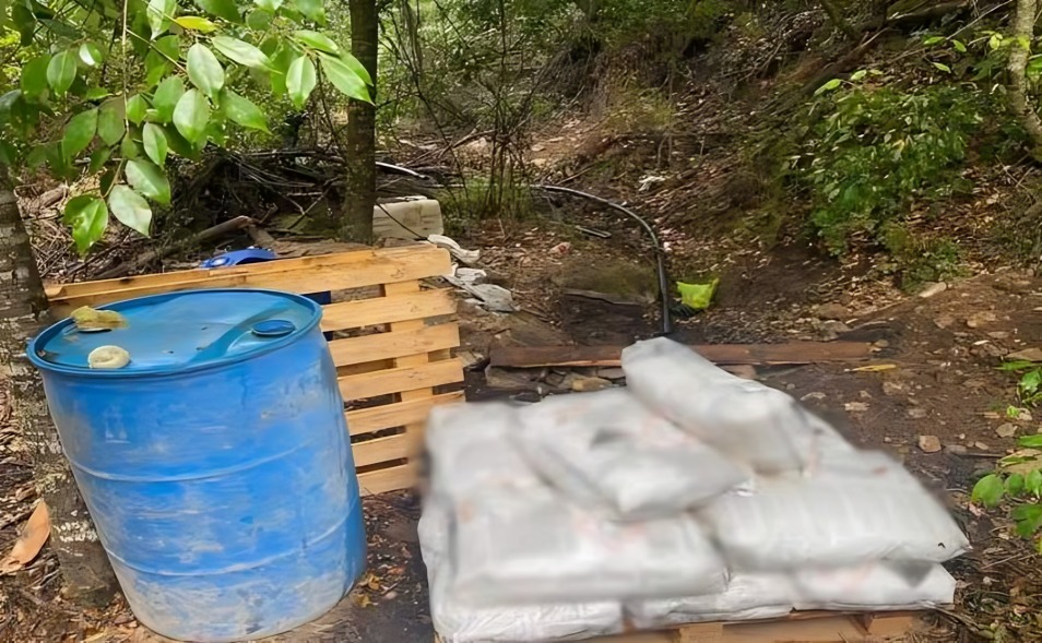Sedena y FGR desmantelan narcolaboratorio en Hidalgo