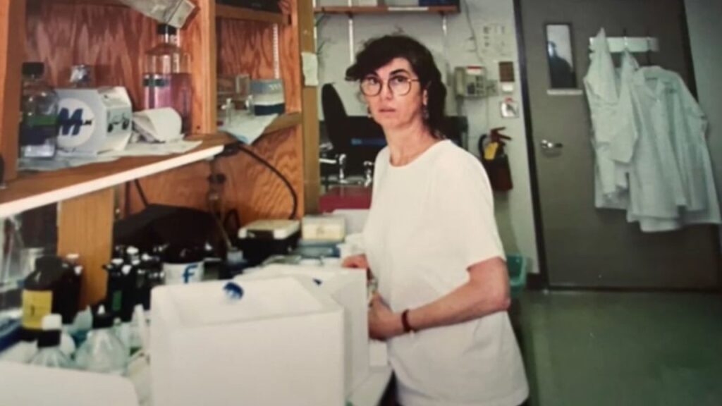 Annie Pardo Cemo