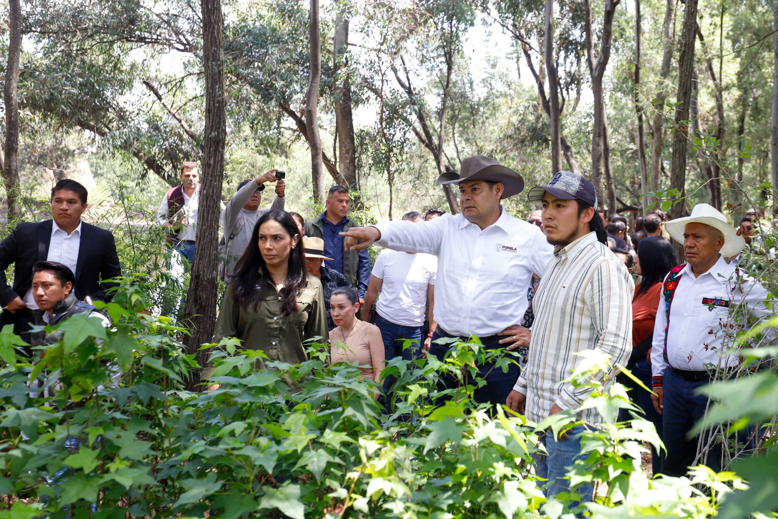 Armenta sembrará 1 millón 719 mil árboles en Puebla