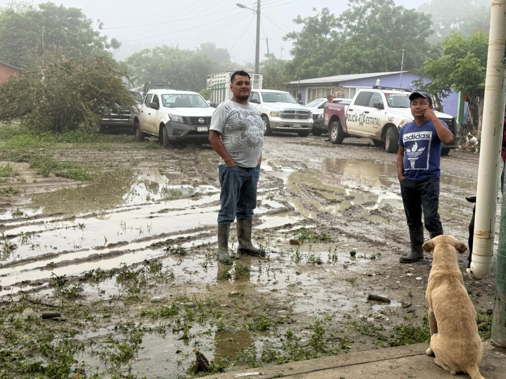 Daños en la zona