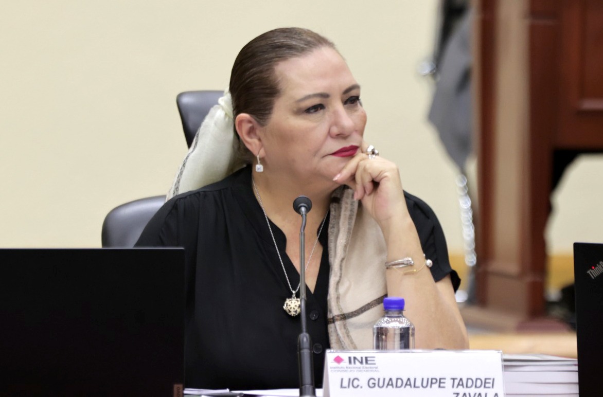 INE perdería autonomía solo si militares manipularan elección; Taddei